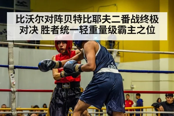 比沃尔对阵贝特比耶夫二番战终极对决 胜者统一轻重量级霸主之位