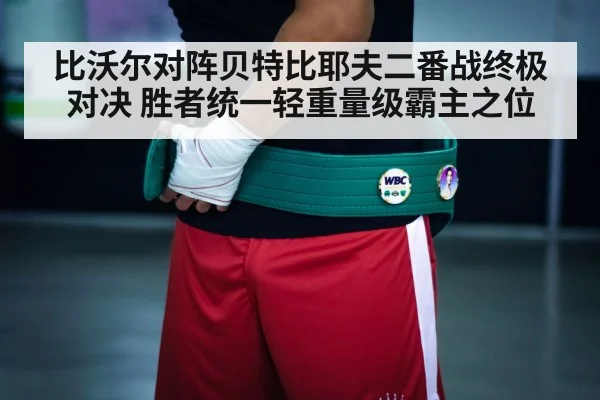 boxing championship belt