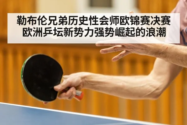 勒布伦兄弟历史性会师欧锦赛决赛 欧洲乒坛新势力强势崛起的浪潮