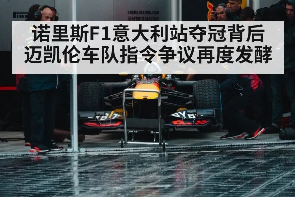 formula 1 pit stop crew