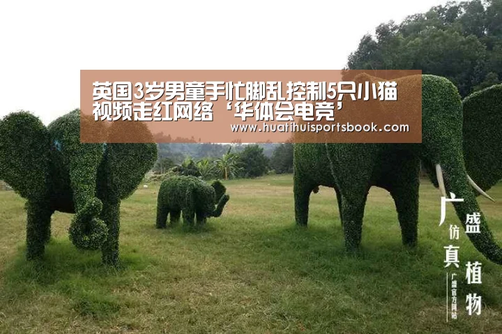 华体会体育