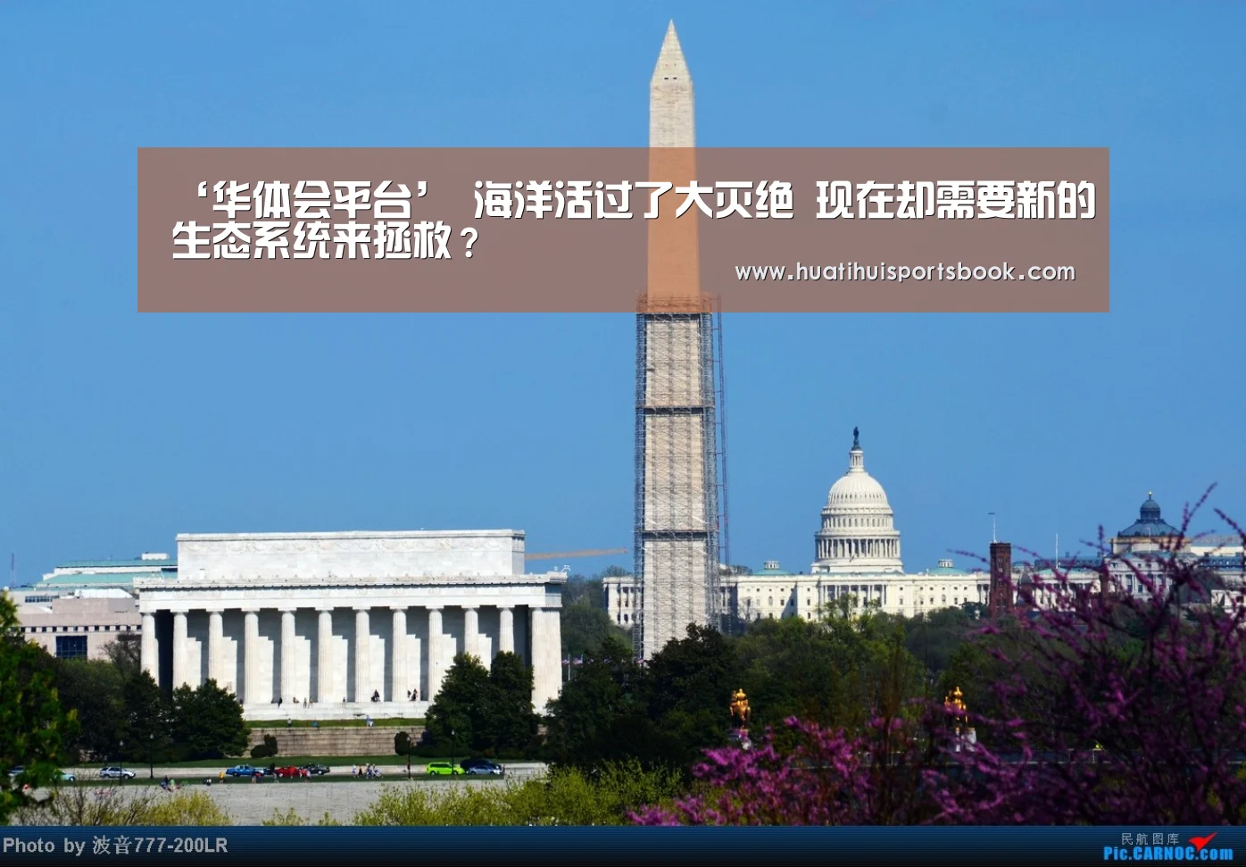 ‘华体会平台’
海洋活过了大灭绝 现在却需要新的生态系统来拯救?(图1) 华体会平台