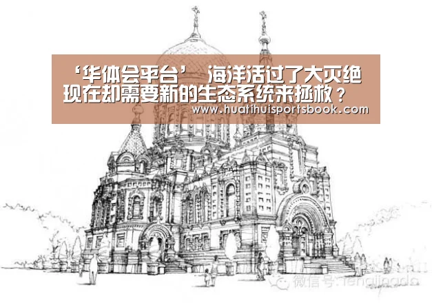 ‘华体会平台’
海洋活过了大灭绝 现在却需要新的生态系统来拯救?(图2) 华体会电竞
