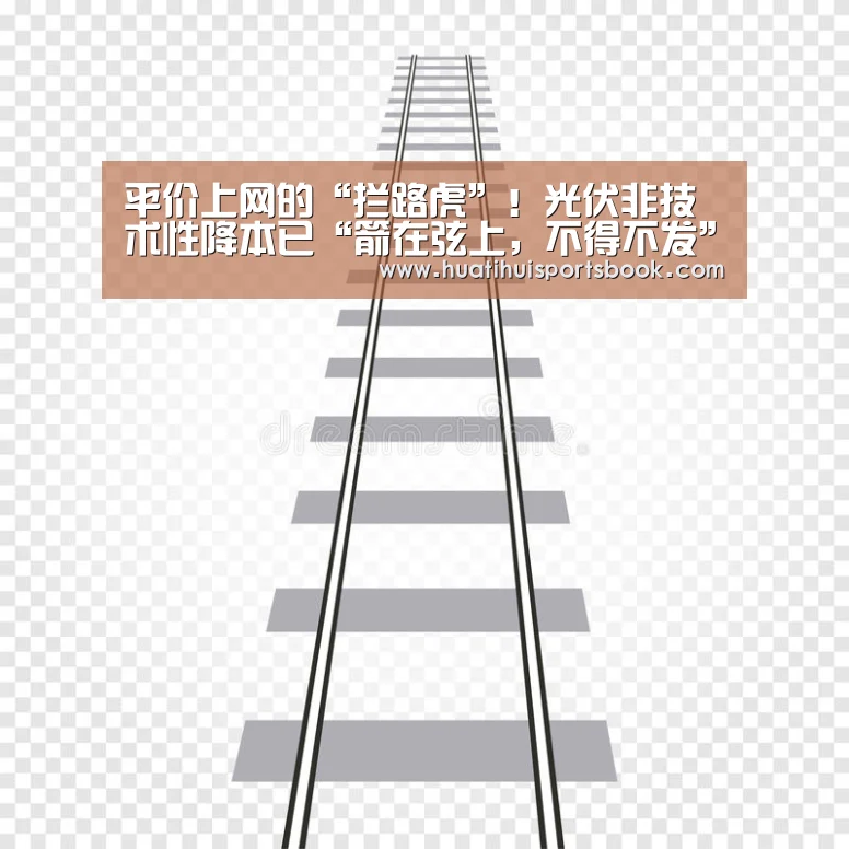 平价上网的“拦路虎”!光伏非技术性降本已“箭在弦上,不得不发”|华体会平台(图1) 华体会体育