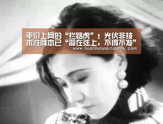 平价上网的“拦路虎”!光伏非技术性降本已“箭在弦上,不得不发”|华体会平台(图2) 华体会平台