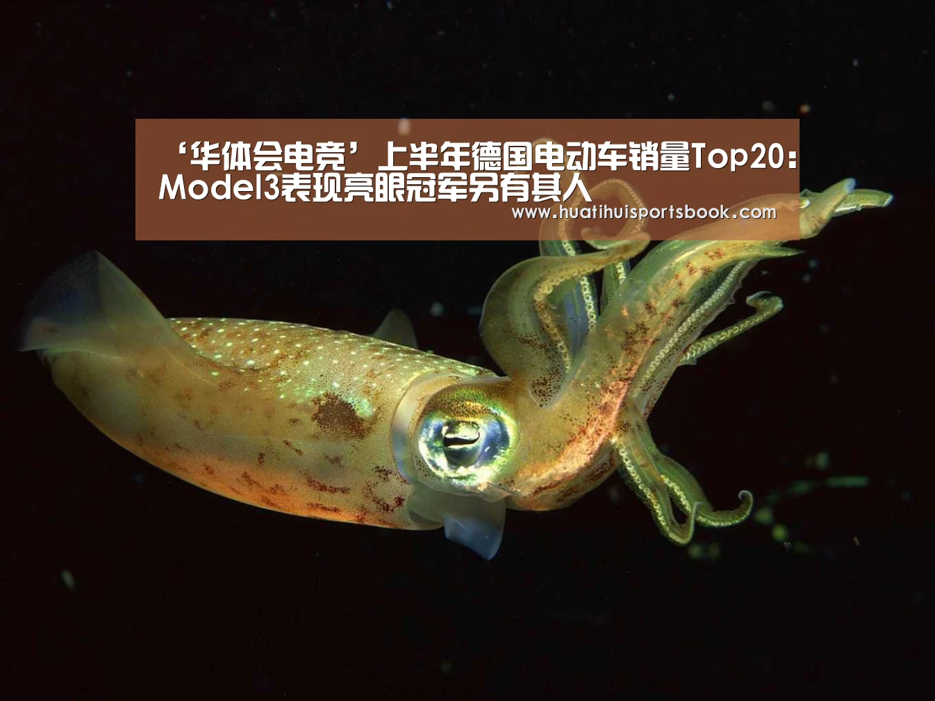 华体会平台