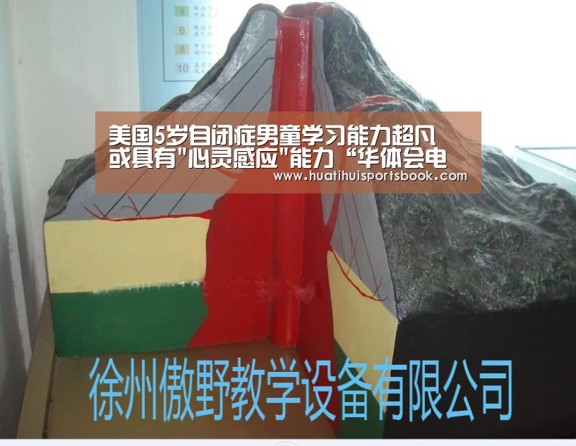 美国5岁自闭症男童学习能力超凡 或具有心灵感应能力“华体会电竞”(图2) 华体会电竞