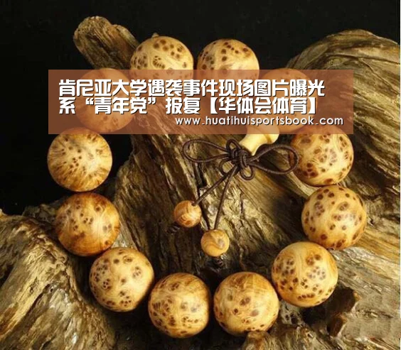 华体会电竞